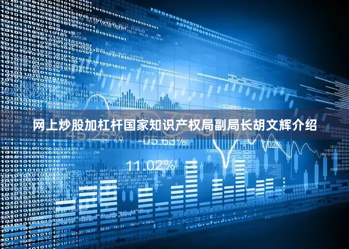 网上炒股加杠杆国家知识产权局副局长胡文辉介绍