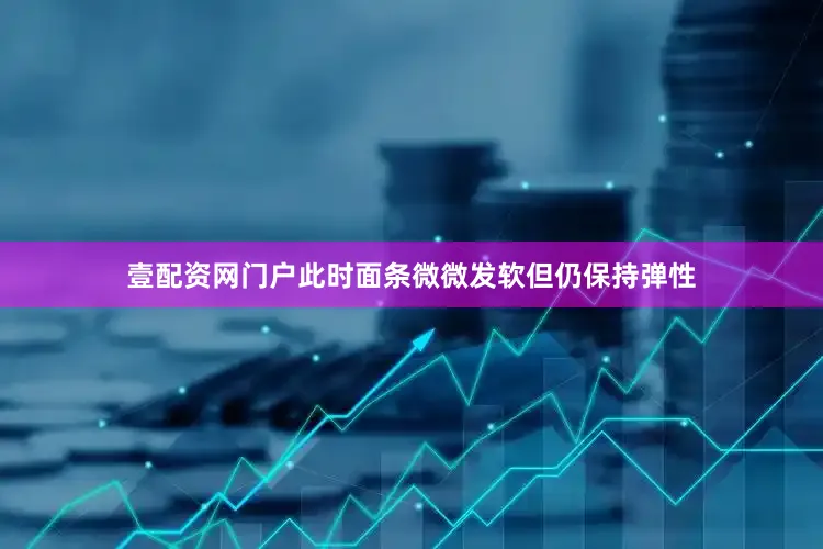 壹配资网门户此时面条微微发软但仍保持弹性